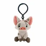 bag-clip-pua