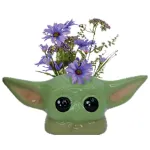 mini-vase-star-wars-the-chi