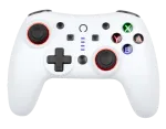 manette-sans-fil-switch-2-snow