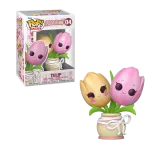 pop-plantes-flora-tulipe
