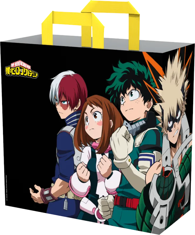 sac-cabas-team-mha