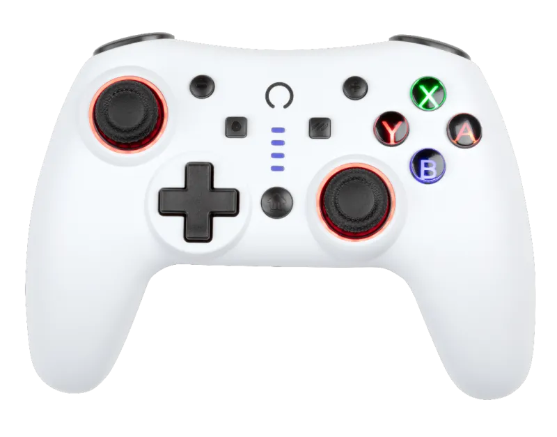 snow-wireless-nintendo-switch-2-gamepad