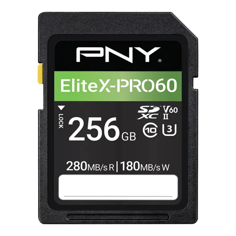 pny-carte-sd-elitex-pro-60-256gb