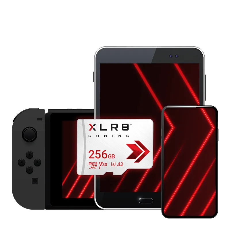 pny-carte-micro-sdxc-xlr8-gaming-class-256gb