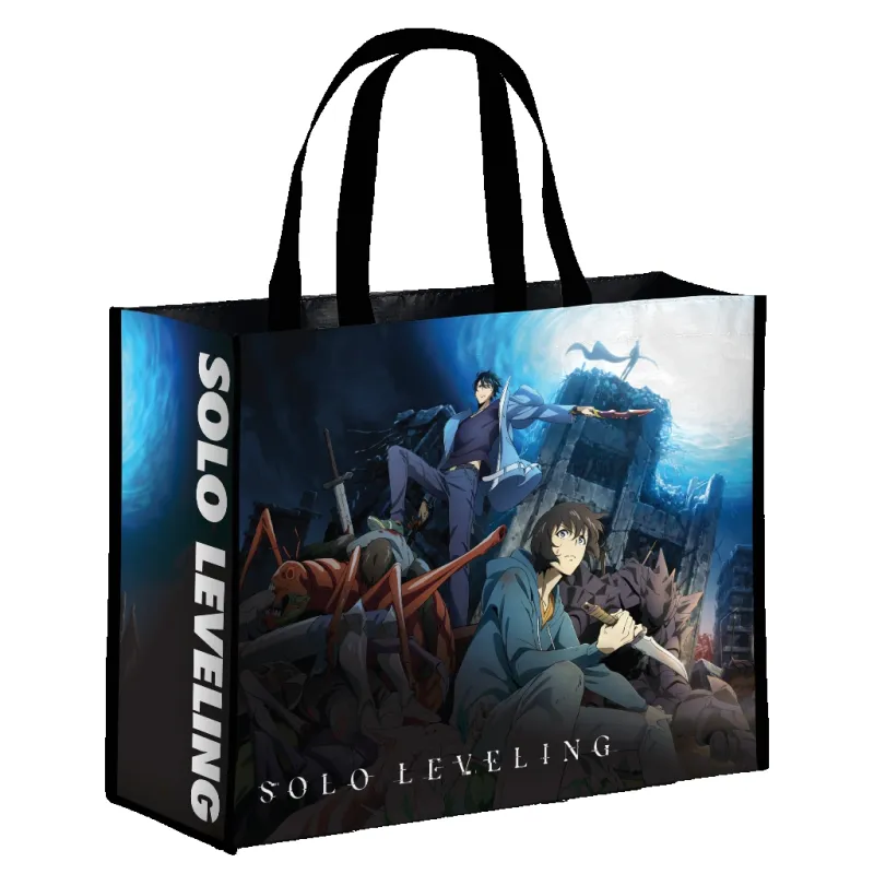 sac-cabas-solo-leveling-awaken