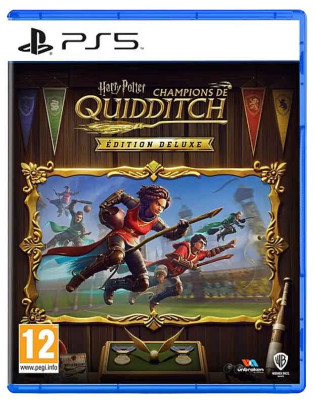harry-potter-champions-de-quidditch-p5-vf