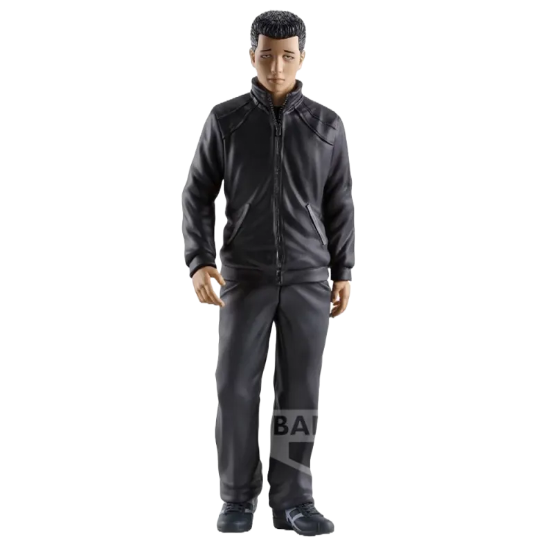 tfa-akira-sato-20cm