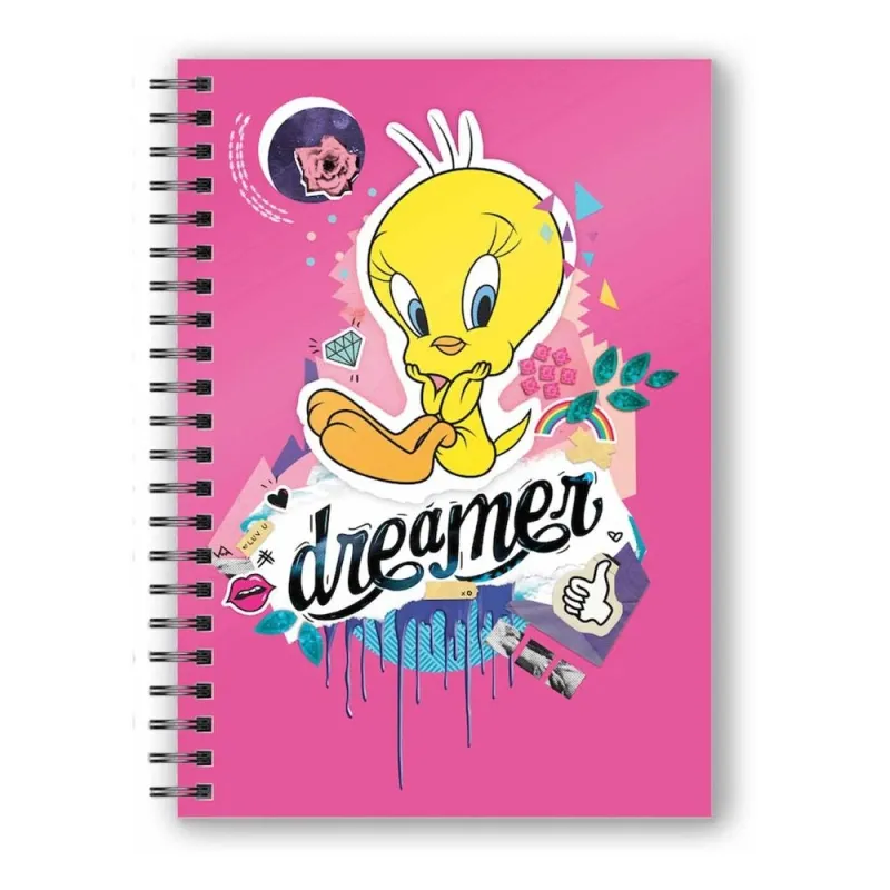 carnet-effet-3d-toons-titi-dre