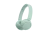sony-wless-headset-wh-ch530-vert