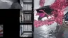 kong-survivor-instinct-swi-vf