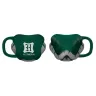 mug-hp-slytherin-serpent