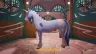unicorn-academy-island-of-magic-p5-vi