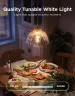 govee-smart-edison-light-bulb-e27-st64