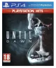 until-dawn