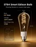 govee-smart-edison-light-bulb-e27-st64