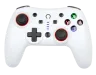 manette-sans-fil-switch-2-snow