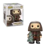 pop-hp-vacances-hagrid-15cm