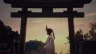 sombras-negative-frames-special-frames-ed-p5-vf