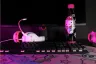 konix-candies-hello-kitty-daily-usage-500-ml-stainless-steel-multicolour