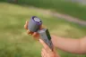 verb-ventilateur-portable-pro-cool-n-purple-grey