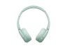 sony-wless-headset-wh-ch530-vert