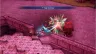 brigandine-abyss-deluxe-ed-swi2-vf