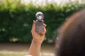 verb-ventilateur-portable-mini-cool-n-go-purple
