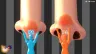 warioware-move-it-swi-vf