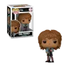 pop-rocks-tina-turner-wlgtdwi