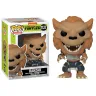 pop-tmnt-rahzar