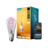 govee-smart-edison-light-bulb-e27-st64