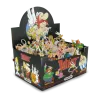 boite-presentoir-60-porte-cles-assortis-asterix