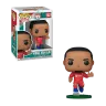pop-football-liverpool-virgil-van-dijk