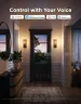 govee-smart-edison-light-bulb-e27-st64