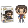 figurine-pop-harry-potter-noel