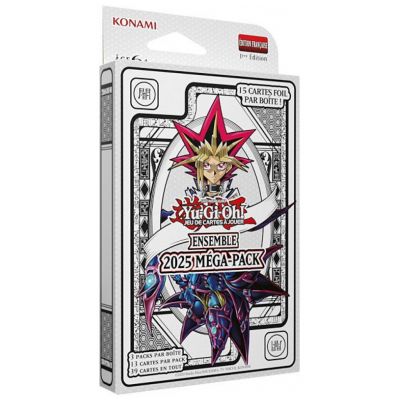 MEGA BUNDLE 2025 SANS BOITE METAL