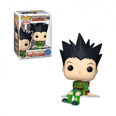 POP HUNTER X HUNTER - GON ASSIS
