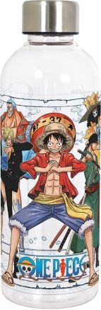HYDRO BOUTEILLE ONE PIECE ANIME 850ML