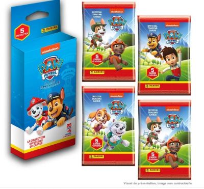 PAT PATROUILLE TC BLISTERS5 POCHETTES