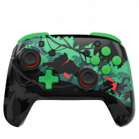 TB SW2 MAN REMATCH WIRELESS DONKEY KONG