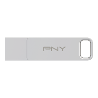 PNY CLE USB DUO LINK TYPE-C OTG 3.2 128GB
