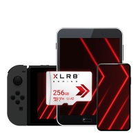 PNY CARTE MICRO SDXC XLR8 GAMING CLASS 256GB